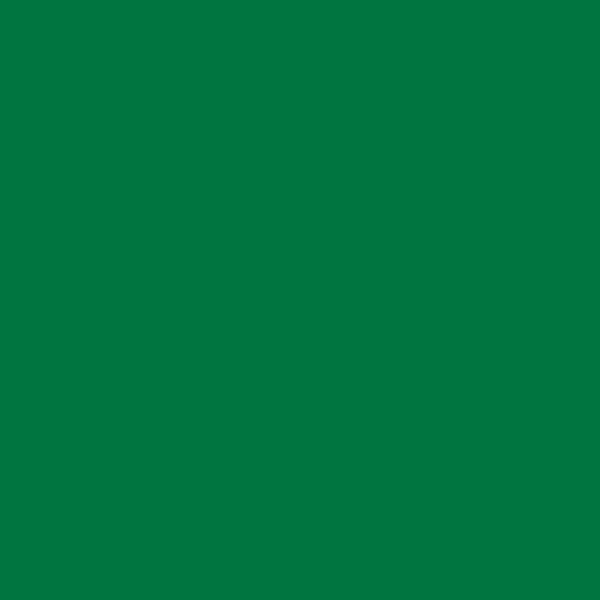 Rosco Storaro 2004 VS-Green Gel Sheet 2004-2024 (20" x 24")