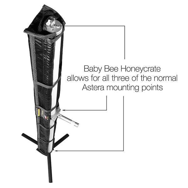 Honeycrates shop baby bee